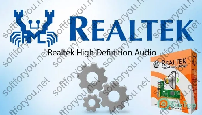 Realtek High Definition Audio Drivers Activation key